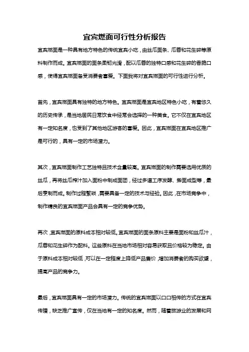 宜宾燃面可行性分析报告