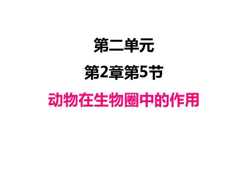 初中生物济南版七年级上册教学课件 动物在生物圈中的作用