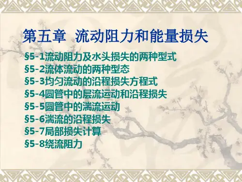 流体力学课件  第五章  流动阻力