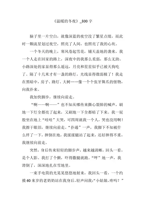 《温暖的冬夜》_800字