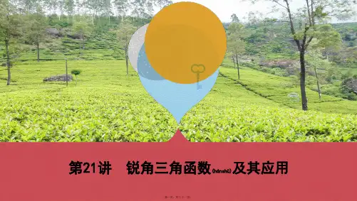 中考数学一轮复习 第四单元 三角形 第21讲 锐角三角函数及其应用课件