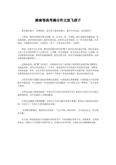 湖南卷高考满分作文放飞孩子