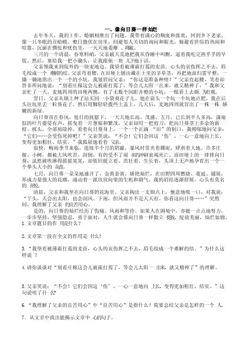 像向日葵一样灿烂