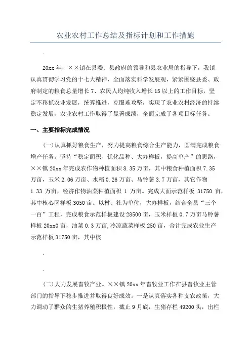 农业农村工作总结及指标计划和工作措施