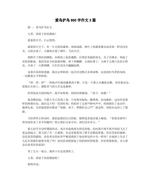 爱鸟护鸟800字作文3篇