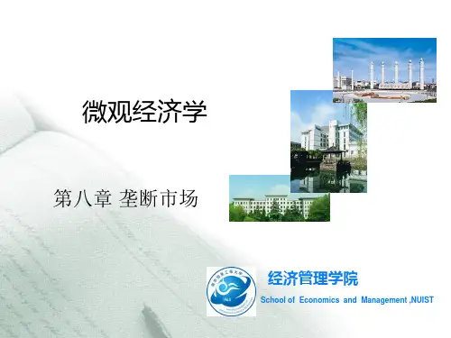 微观经济学第八章 垄断市场