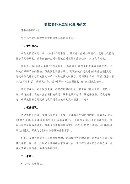 债权债务承诺情况说明范文