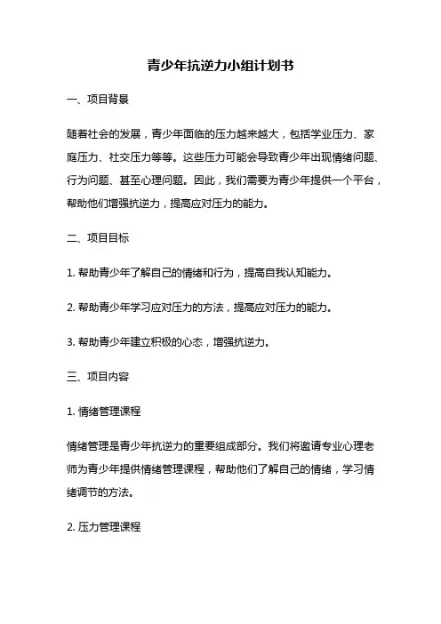青少年抗逆力小组计划书