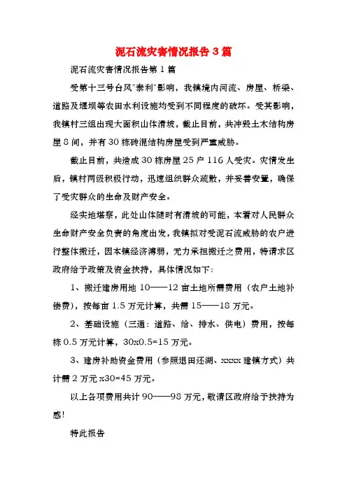 泥石流灾害情况报告3篇