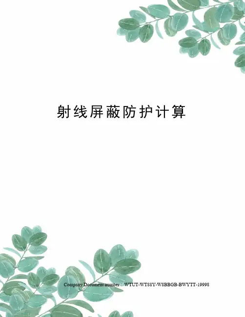 射线屏蔽防护计算