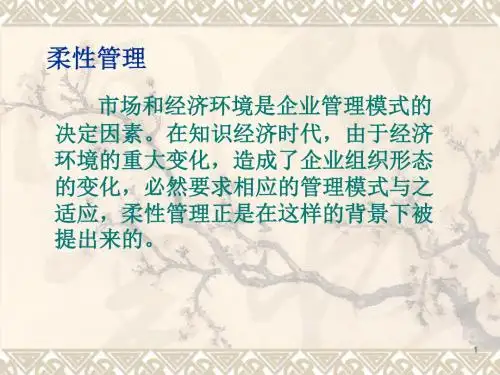 柔性管理ppt课件