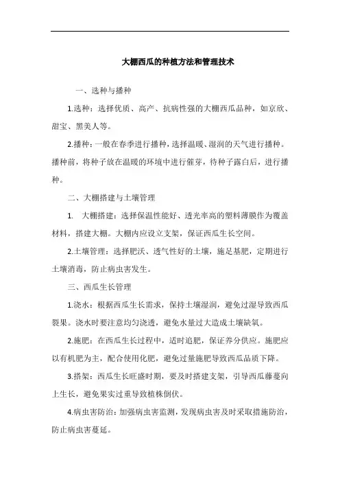 大棚西瓜的种植方法和管理技术