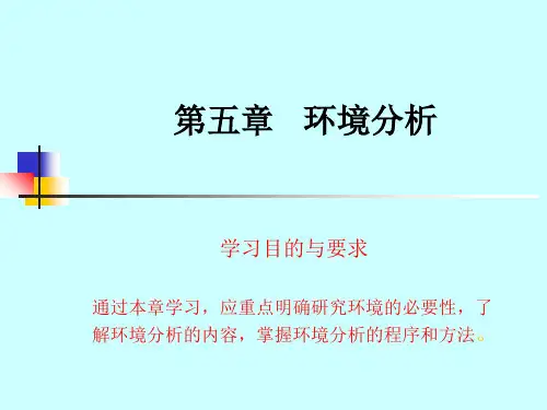 第五章：环境分析 管理学课件
