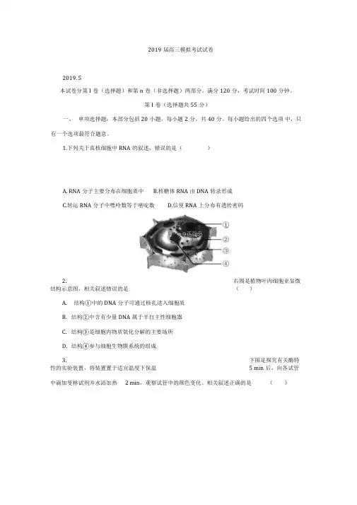 江苏省七市2019届高三第三次调研考试生物试卷