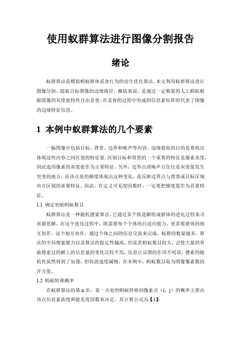 使用蚁群算法进行图像分割报告