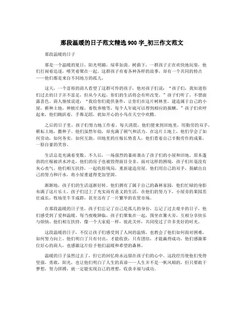 那段温暖的日子范文精选900字_初三作文范文