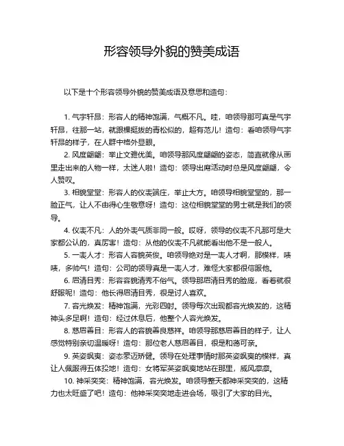 形容领导外貌的赞美成语