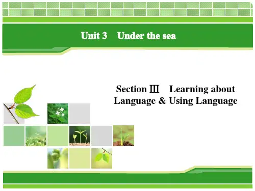 选修七unit 3 section 3