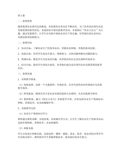 快乐小农夫实践教学案例(3篇)