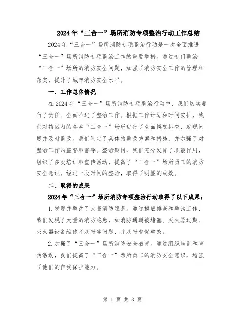 2024年“三合一”场所消防专项整治行动工作总结