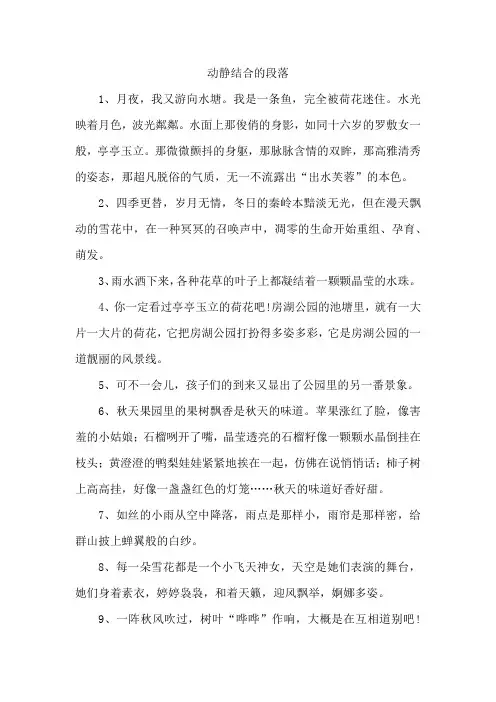 动静结合的段落