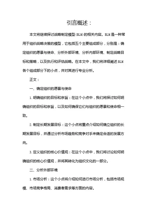战略制定模型(BLM)