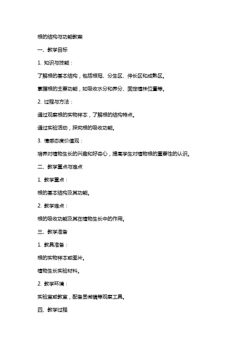 根的结构与功能教案