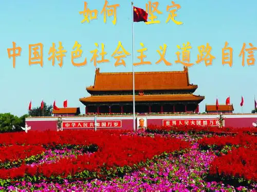 如何坚定中国特色社会主义道路自信