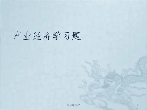 产业经济学习题ppt课件