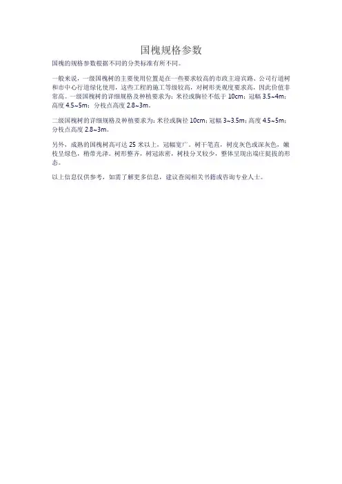 国槐规格参数