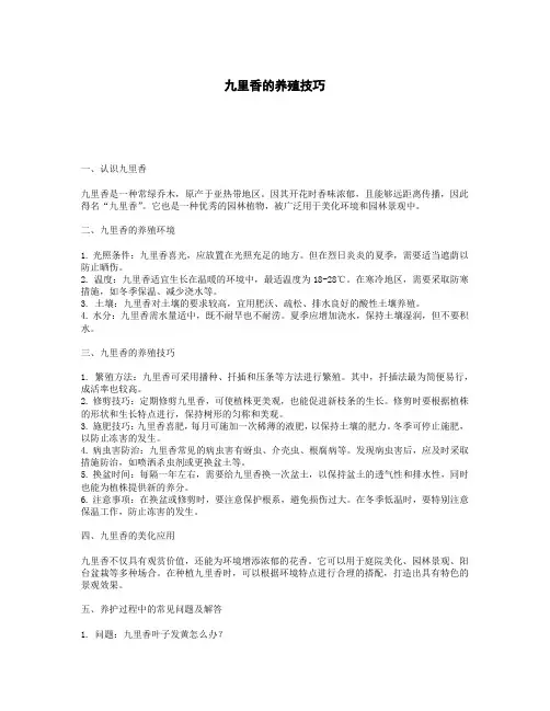 九里香的养殖技巧