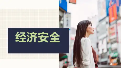 经济安全课件