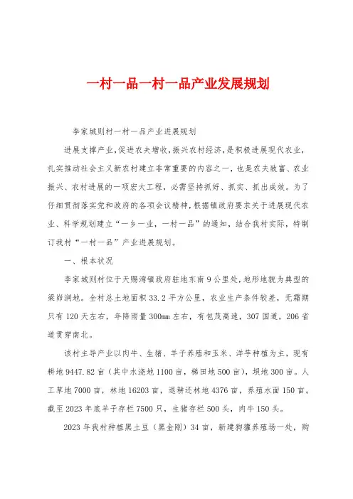 一村一品一村一品产业发展规划