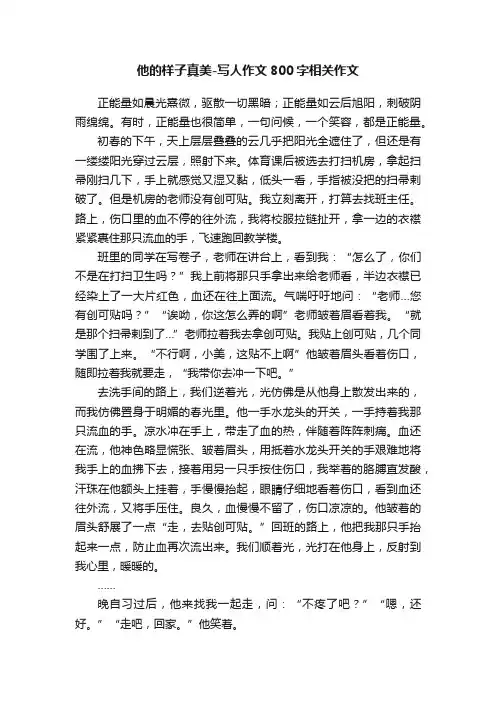 他的样子真美-写人作文800字相关作文