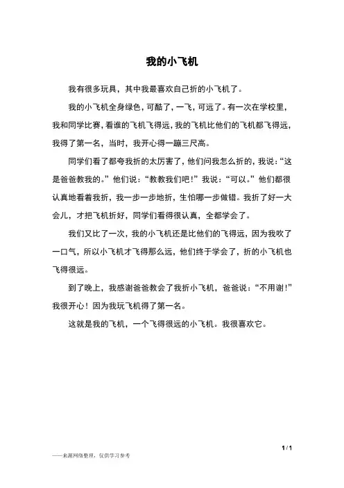 我的小飞机_二年级作文