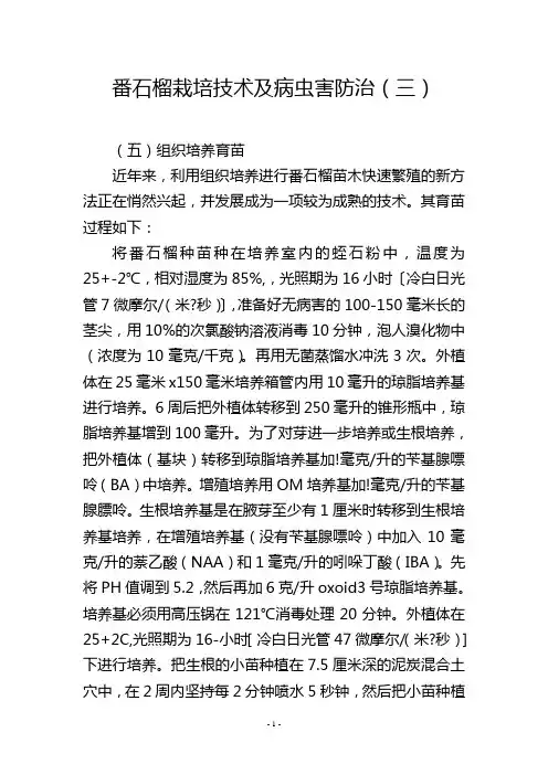 番石榴栽培技术及病虫害防治(三)