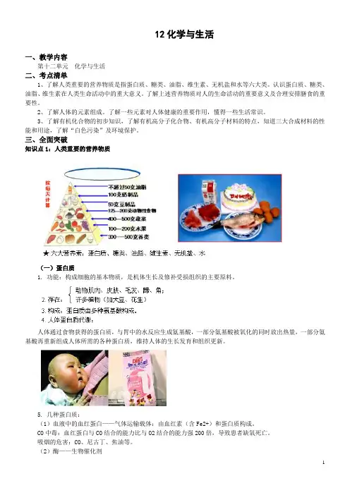 12化学与生活