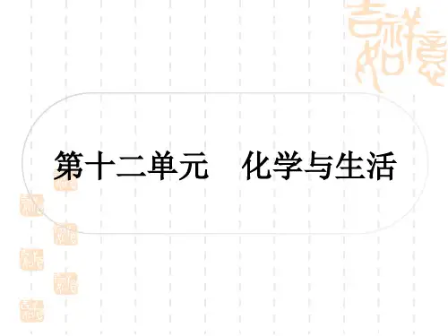 中考化学人教版 精练本 第一部分 考点过关练 第十二单元 化学与生活