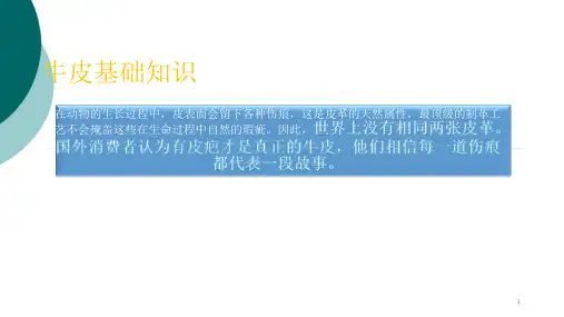 牛皮基础知识