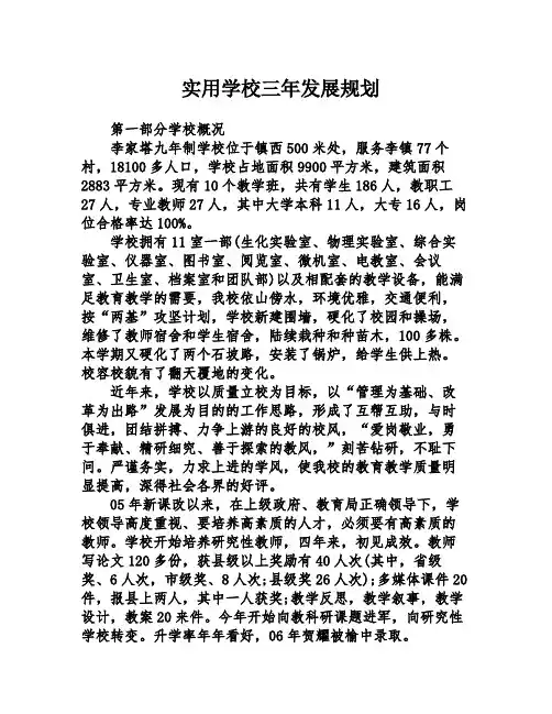实用学校三年发展规划