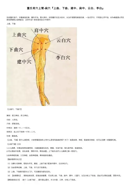 董氏奇穴上臂-肩六『上曲、下曲、建中、肩中、云白、李白』