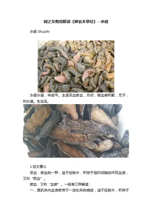 祝之友教授解读《神农本草经》--水蛭