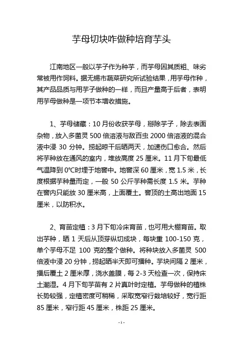 芋母切块咋做种培育芋头
