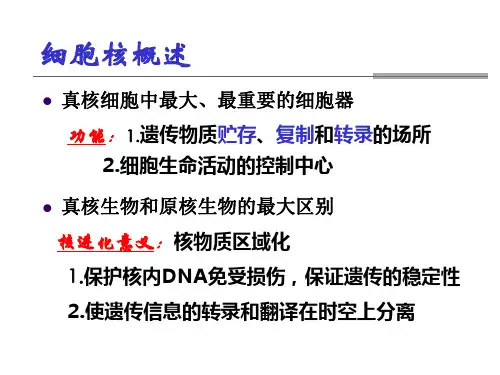 医学细胞生物学课件 细胞核-2014