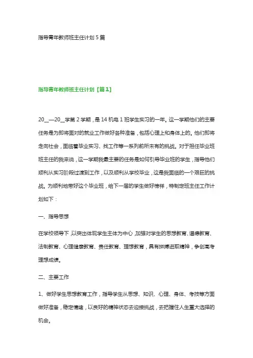 指导青年教师班主任计划5篇