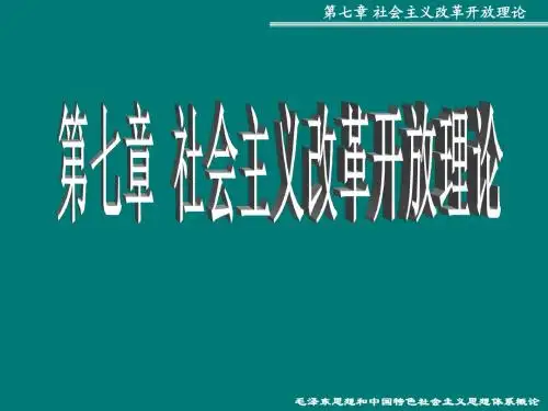 毛概  第七章社会主义开放理论