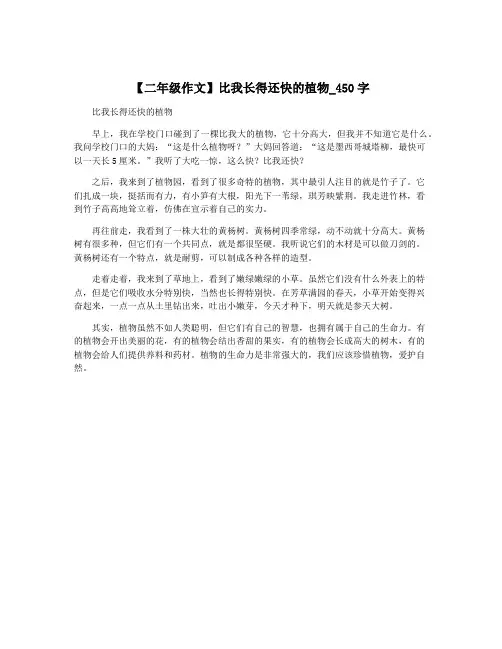 【二年级作文】比我长得还快的植物_450字