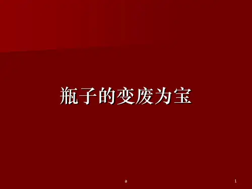 手工制作-美术-饮料瓶废物利用