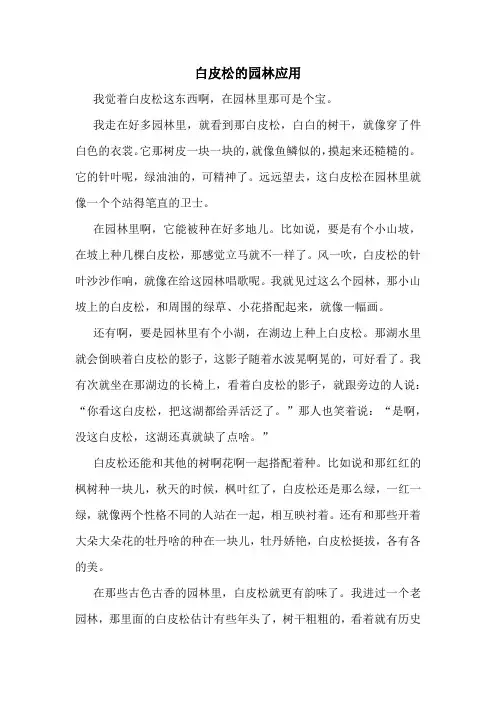 白皮松的园林应用