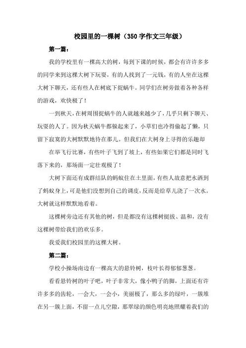 校园里的一棵树350字作文三年级